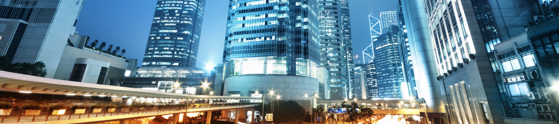 Banner 1